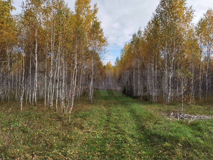 Участок 3,4 га (СНТ, ДНП)
