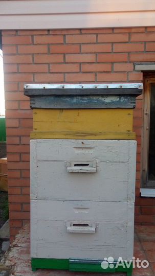 Улей для пчел