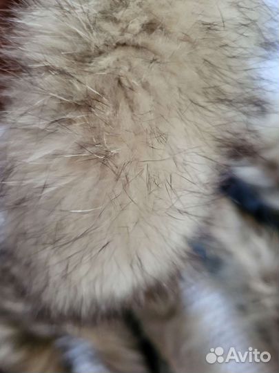 Меховой воротник Мех для творчества Цена за все