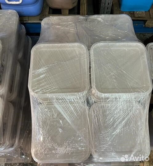 Донниковый свежий оптом