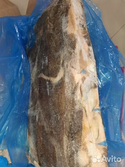 Камбала ёрш пбг (короб прим.25кг)