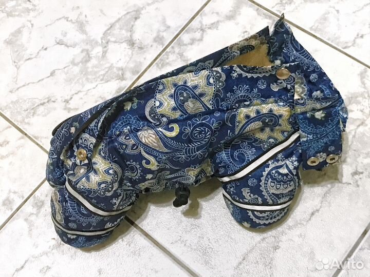 Зимние вещи для собак
