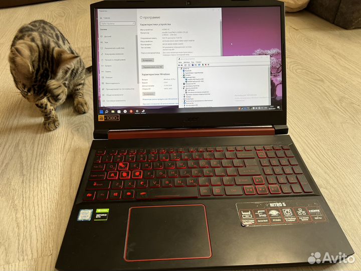 Acer nitro 5 gtx 1650
