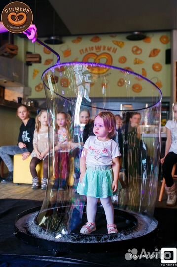 Аниматоры, Организация мероприятия, шоу