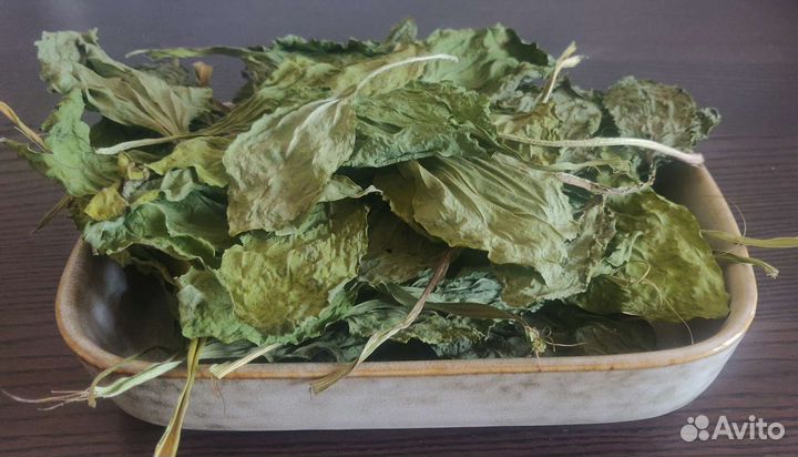 Подорожник сушеный для кроликов/шиншилл и др