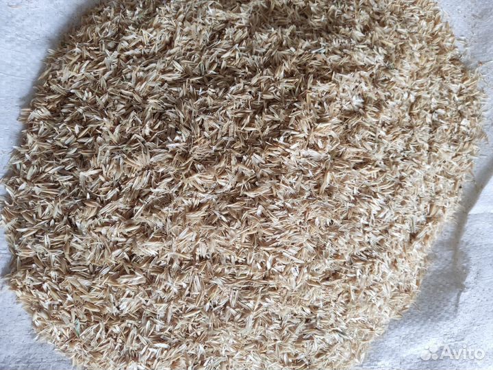 Мульча. Овсяная шелуха