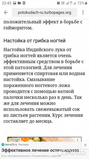 Индийский лук