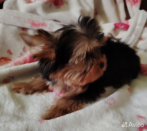 Классный парень