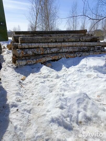 Лес кругляк