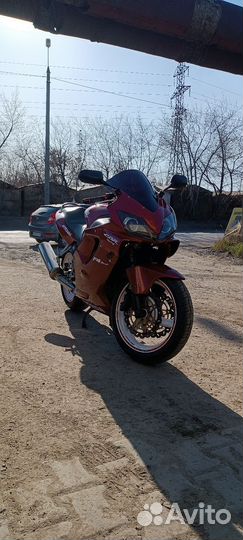 Хонда cbr6004