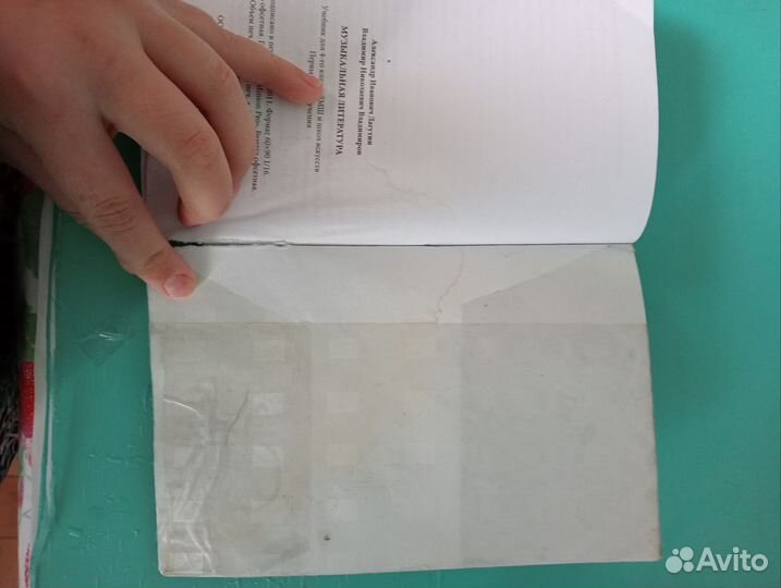 Музыкальная литература