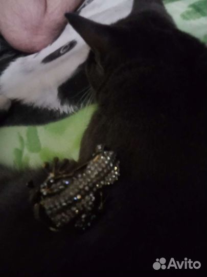 Браслет красивый для девочек.Торг