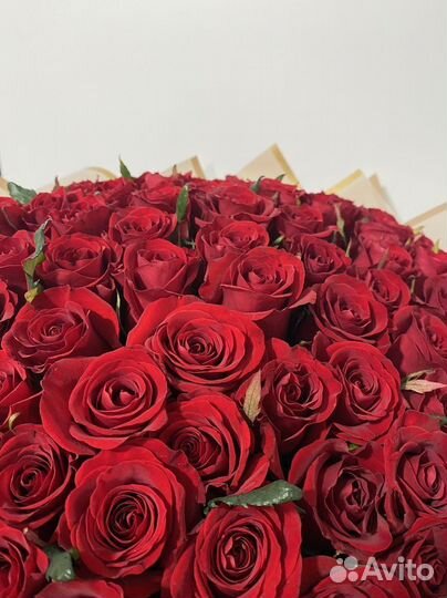 51 роза. Подарок девушке