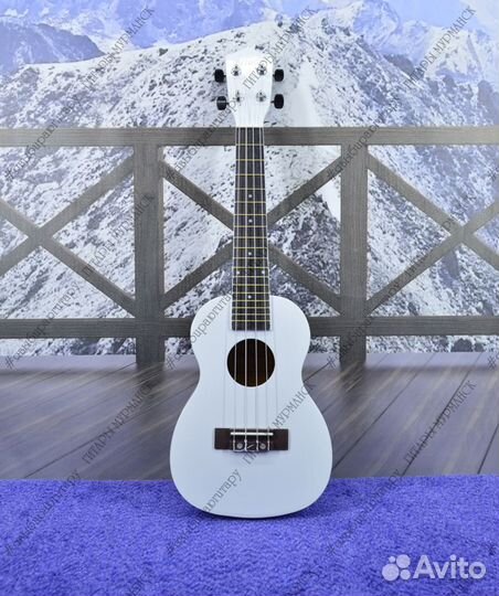 Укулеле - концерт (новая), комплект