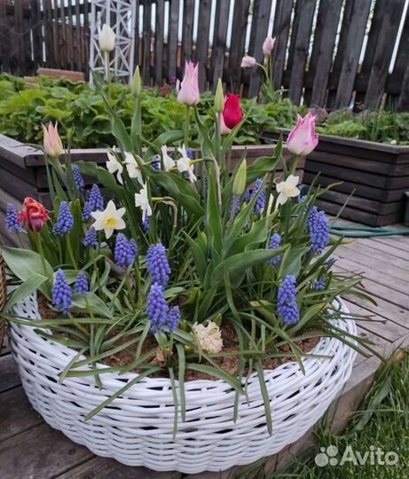 Кашпо для сада