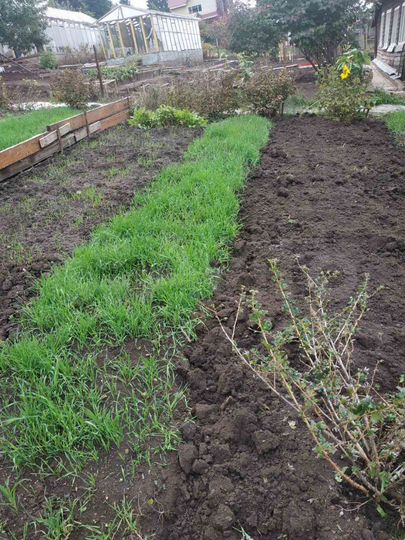 Дача 16 м² на участке 6 сот.