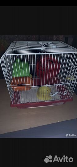 Клетка для грызунов