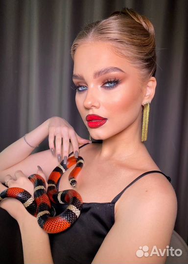 Аренда змеи на фотосессию