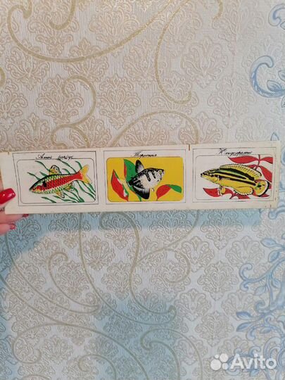 Переводилки