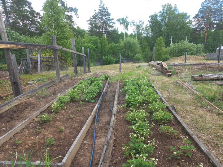 Дом 75,8 м² на участке 17,6 сот.