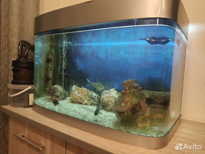 Аквариум для рыбок 100 литров