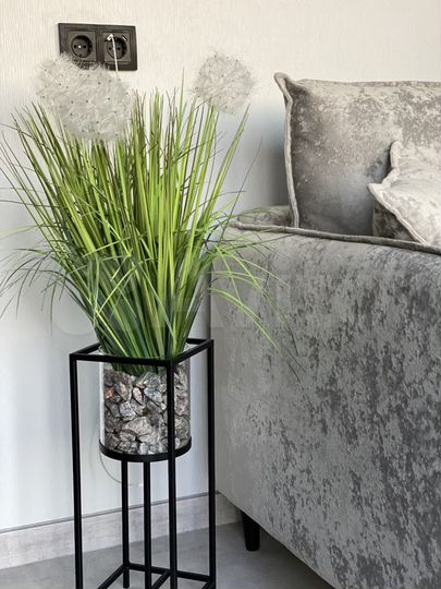 Дом 31 м² на участке 4 сот.