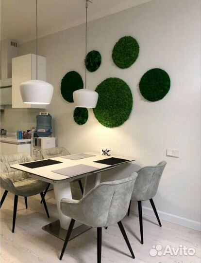 Интерьерные композиции из мха