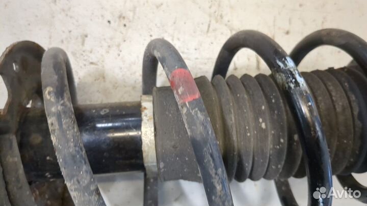 Амортизатор подвески Toyota Urban Cruiser, 2009