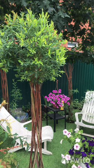 Плетеная пальма из ивы