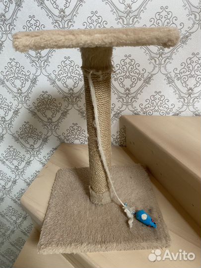 Когтеточка для кошек