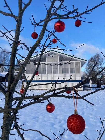 Дом 80 м² на участке 40 сот.