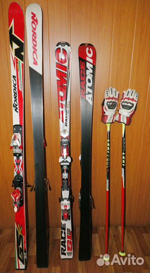 Горные лыжи