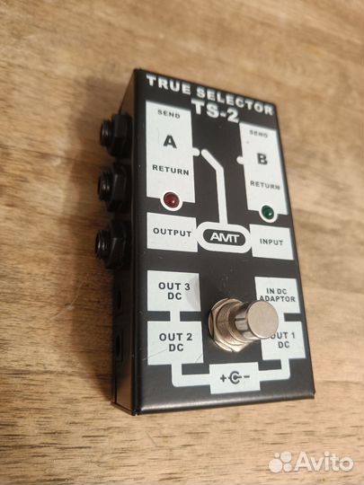 AMT True Selector TS-2