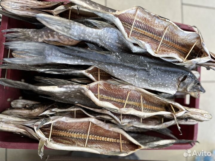 Вяленая рыба щука