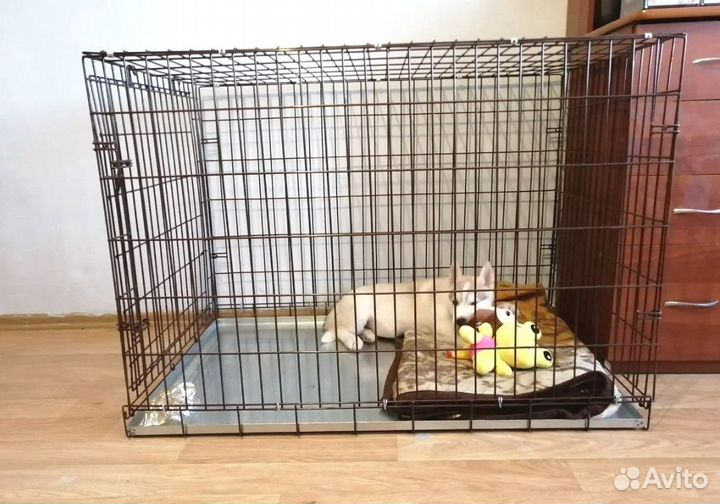 Прочные клетки для собак №4