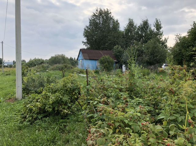 Продам дубки. Дубки Ярославская область. Дача Дубки. Дачи Дубки Оренбург.