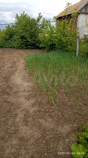 Дом 29 м² на участке 6 сот.