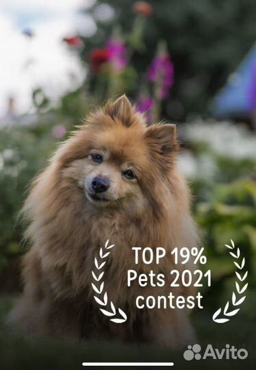 Аэросъемка, видеовизитки, видеосъёмка, монтаж