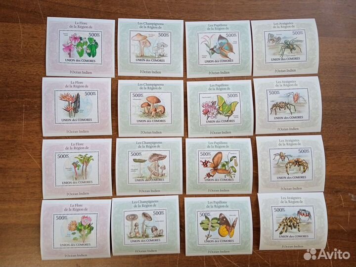 Чистые блоки фауна 2