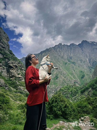 Тур на Кавказ