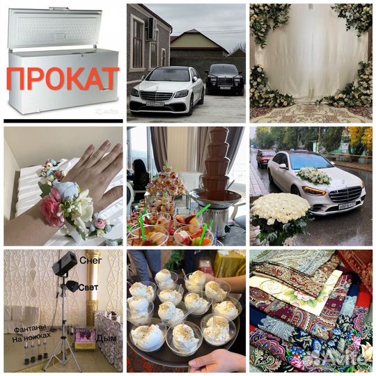 Аренда, Прокат Морозильной камеры