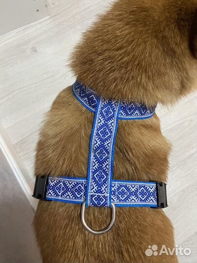 Анатомическая шлейка для крупной/большой собаки
