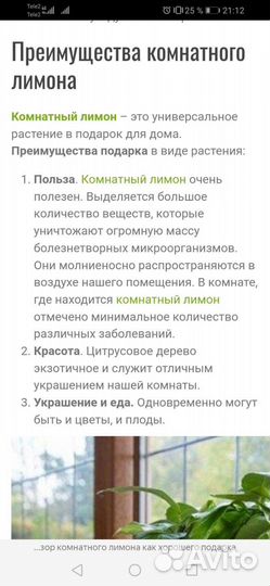 Цветы, лимоны,спатифиллум,фикус