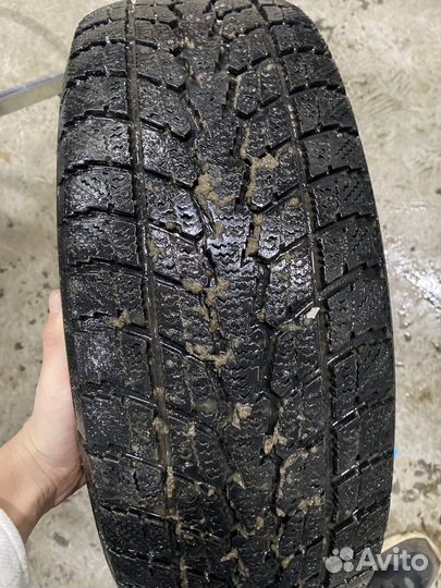 Toyo Winter Tranpath S1 215/65 R16