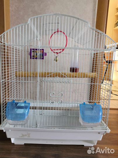 Клетка для крупного попугая