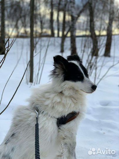 Скромная девочка мечтает о любящей семье