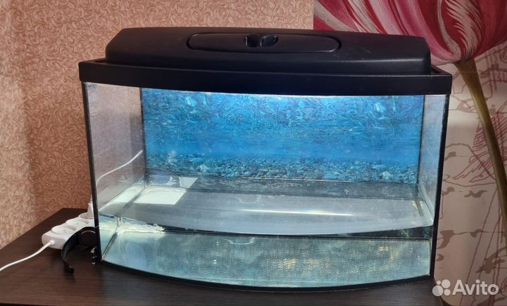 Аквариум