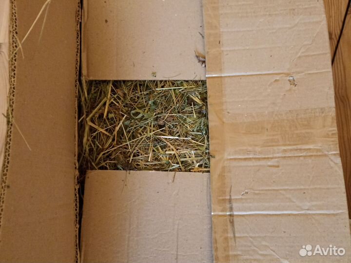 Продам сено, в коробке 5кг