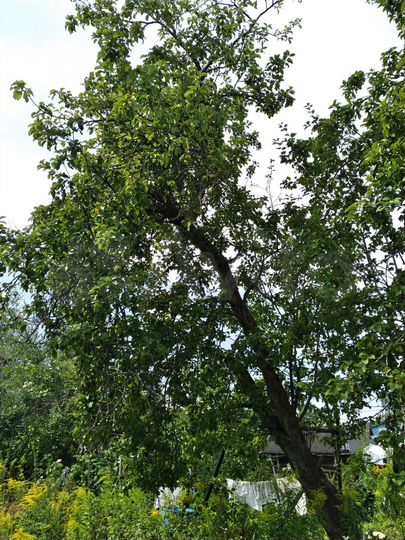 Дача 96 м² на участке 6,7 сот.