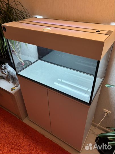Аквариум (тумба+акв+оборудование)